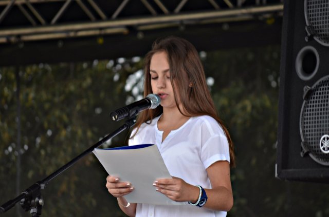 97 rocznica Bitwy pod Arcelinem 